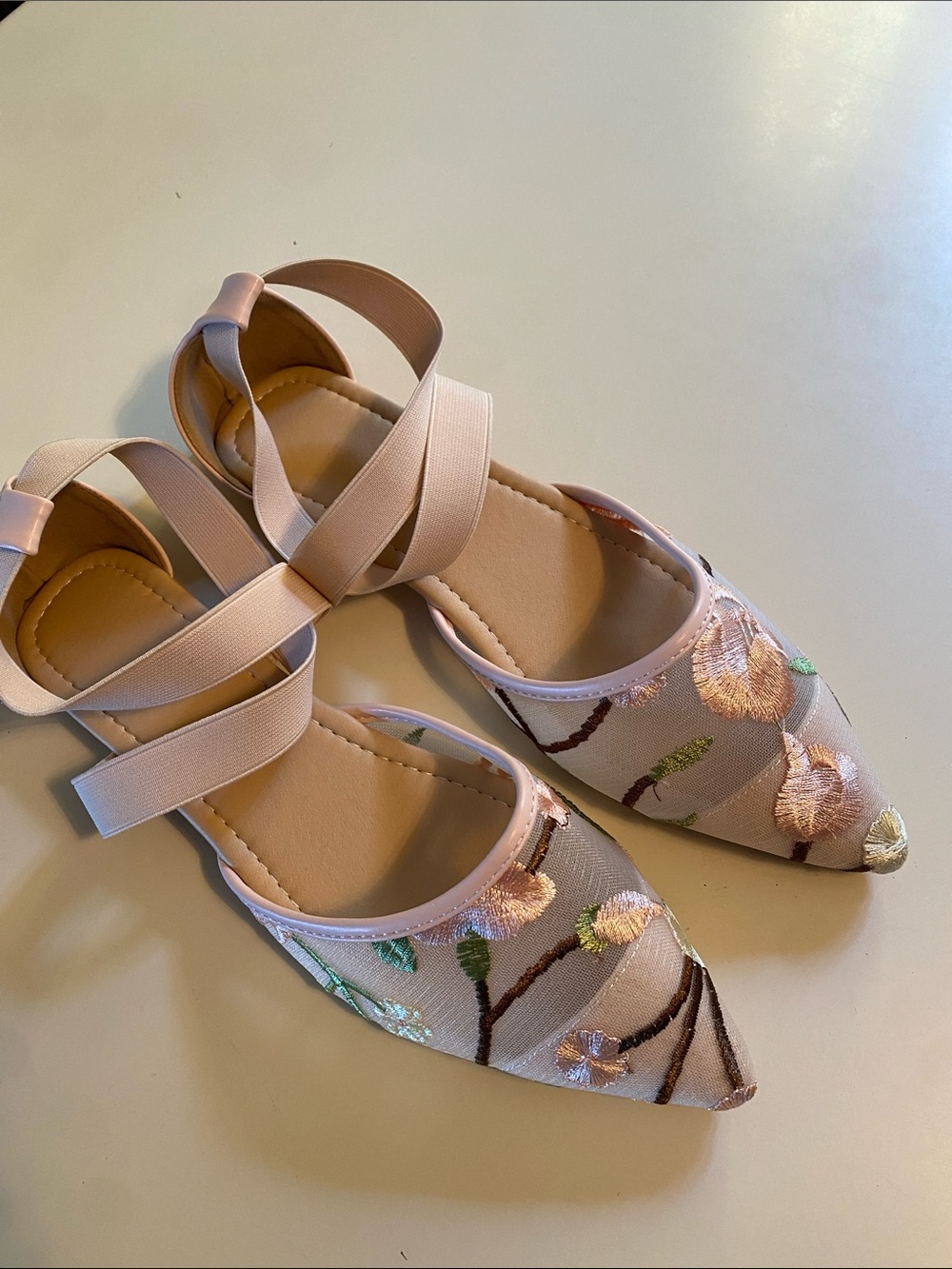 Pointed-Toe Pink Embroidered Floral Flats with Ankle Straps NWOT Size 40